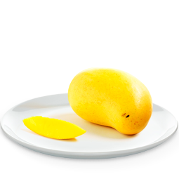 Refractómetro de salinidad portátil para la Industria alimentaria con Mango cómodo 